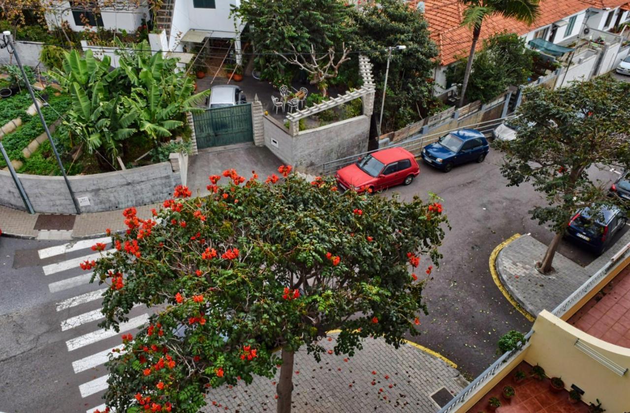Perola, A Home In Madeira Фуншал Экстерьер фото